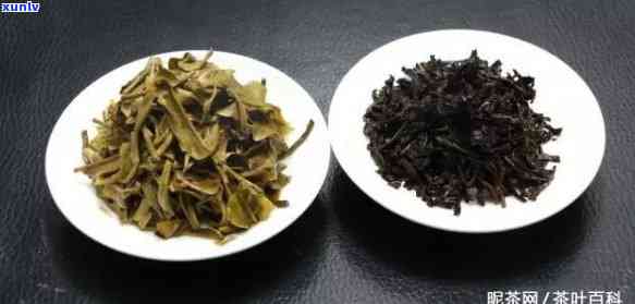 普洱茶生茶和熟茶如何区分？从特点、品质、图片三个方面全面解析