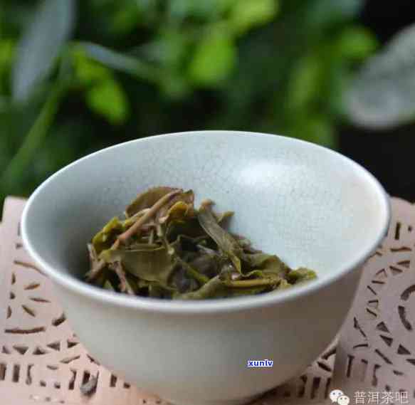 生茶和熟茶怎么区分，怎样区分生茶与熟茶？