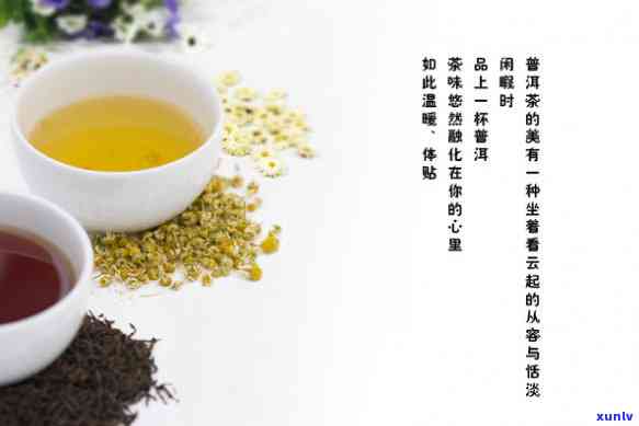 送人生茶还是熟茶好？根据不别和场合选择适合的茶叶类型