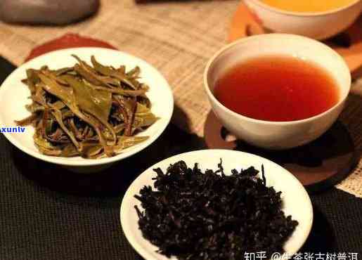 茶叶喝生茶好还是喝熟茶好？探讨生茶与熟茶的差异及优劣