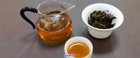 饮生茶好还是熟茶好-饮生茶好还是熟茶好呢