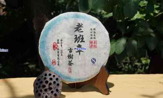 勐海县班章茶厂老班章茶饼，品味纯正古韵：勐海县班章茶厂老班章茶饼