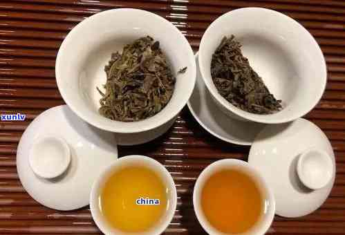 生茶能转化成熟茶吗，从生茶到熟茶：探究茶叶的转化过程