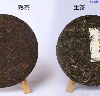 生茶、熟茶，从生到熟：探索茶叶的 *** 过程和口感差异