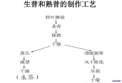 生茶和熟茶 *** 工艺流程，深入解析：生茶与熟茶的 *** 工艺流程