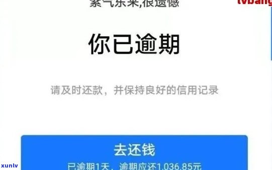 借呗有钱花网商贷逾期怎么办，解决网商贷、借呗逾期疑问的有效  