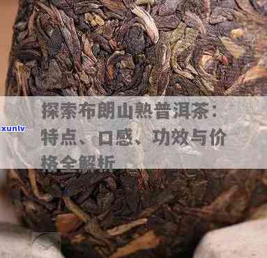 深入了解布朗山古树茶熟茶：特点、口感与功效