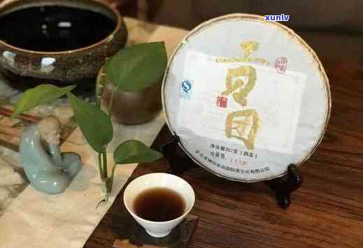 昔归园916熟茶-昔归园茶文化生活体验馆