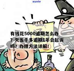 有钱花逾期5000元：半年未还，恐遭起诉！