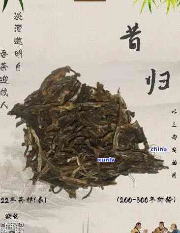 昔归熟茶有什么功效-昔归 熟茶