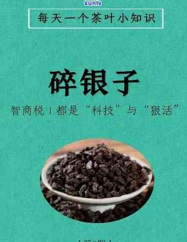 怎样冲泡碎银子茶叶视频教程：完整步骤与技巧讲解