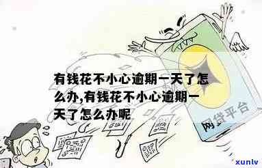 集思益茶叶交易平台：官网、公司介绍、在线销售、普洱茶官站、茶饼价目及评价