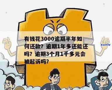 有钱花3000逾期1年多：可能被起诉，需尽快还款