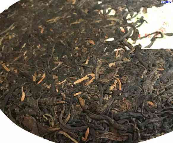 老曼峨甜茶古树茶价格，深度解析：老曼峨甜茶古树茶的市场价格及其影响因素