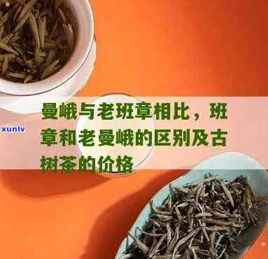 老曼峨和班章古树茶的区别：老树茶品种、口感对比与价格解析