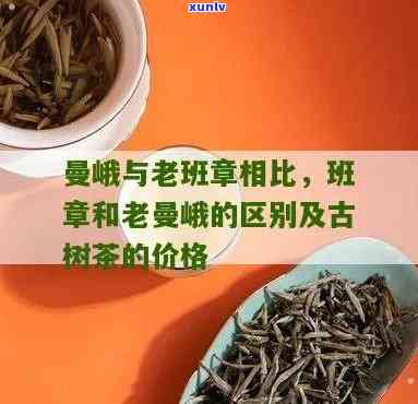 班章和老曼峨的区别，解密班章与老曼峨：两款名茶的显著区别