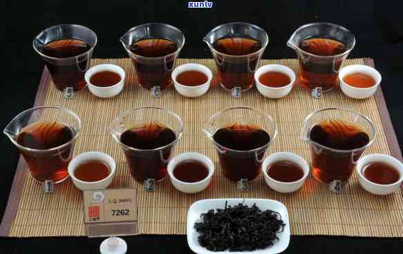 2008年大益熟茶7262价格与其它相关熟茶的价格比较