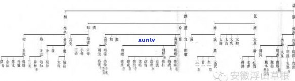 黄氏玉公世系，探究黄氏玉公的家族世系：一段历史悠久的血脉传承