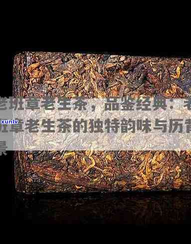 老曼峨班章老树茶2006，品鉴老曼峨班章老树茶2006：独特口感与历背景的深度解析