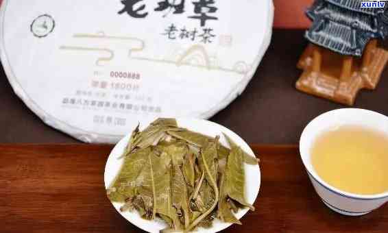 老曼峨班章春茶，品味老曼峨班章春茶：探索云南普洱茶的顶级口感