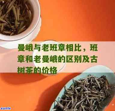 班章老曼峨种是什么茶？价格、区别、茶厂及老树茶介绍