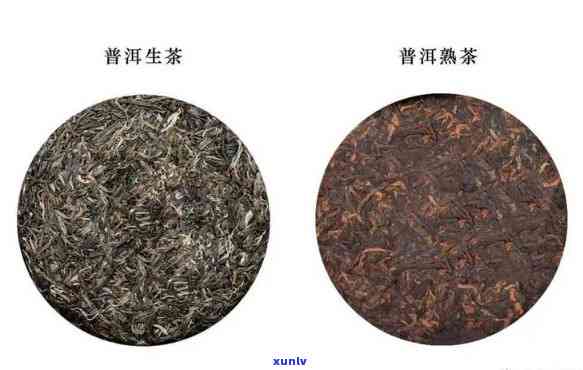 布朗普洱茶是生茶还是熟茶，布朗普洱茶：生茶还是熟茶？你需要知道的一切