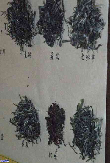 熟普茶味道：淡的原因与香气解析