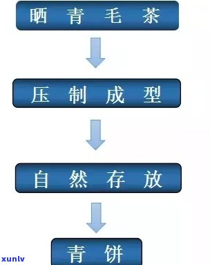 熟普的 *** 工艺流程，深入了解熟普茶：探索其独特的 *** 工艺流程