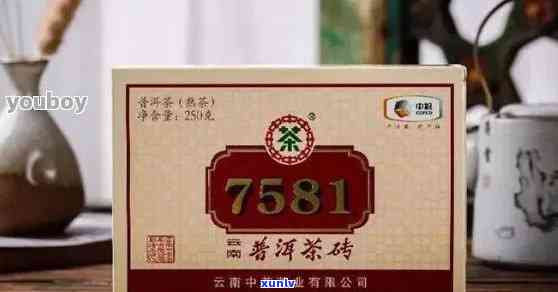 熟普7581是什么茶厂出品？与7572有何区别？