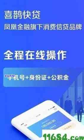 喜鹊易卡贷是循环额度吗，揭秘喜鹊易卡贷：你的额度可以循环采用吗？