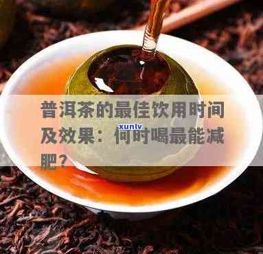 熟普洱茶的饮用时间和量：如何科学减肥、保持健？