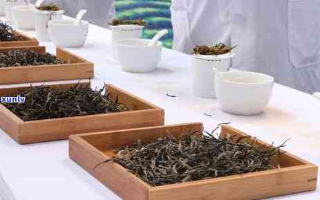 如何全面介绍普洱茶：特点、产品、文化和茶艺师讲解