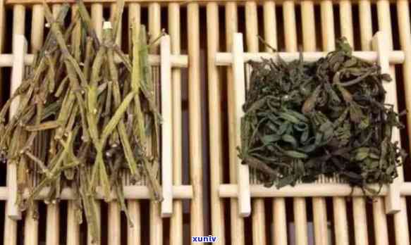 澜沧古茶螃蟹脚是什么意思，解密澜沧古茶中的独特元素：螃蟹脚，它是什么？