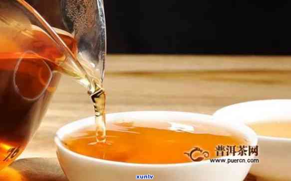 熟普尔茶属于红茶吗-熟普尔是什么茶