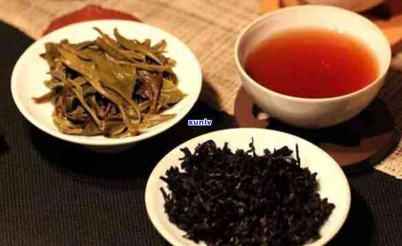 熟普属于什么红茶吗-熟普是什么是红茶吗