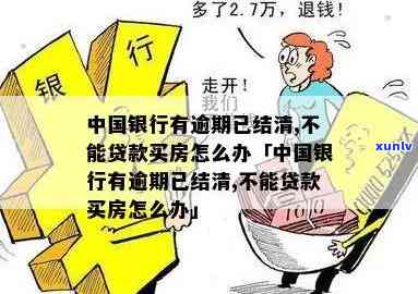 满色的翡翠挂件的价格及特性比较