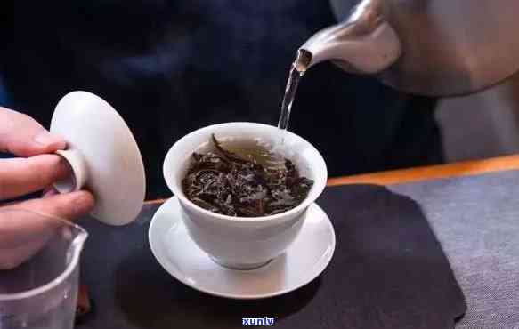 探寻古树普洱茶生茶的独特魅力