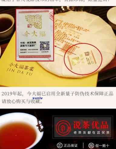 今大福熟茶怎么样好喝？官方旗舰店价格表及评价解析