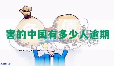 中国普逾期了怎么办-中国普逾期了怎么办理