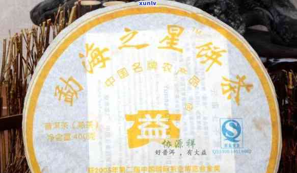 勐海之星饼茶勐海茶厂2006：2005、2009年茶饼及普洱茶价格一览