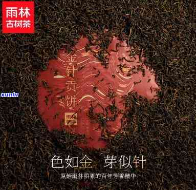 雨林古茶坊真珠熟茶-雨林古茶坊 真珠