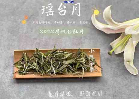 熟茶属于什么发酵茶-熟茶属于什么发酵茶类