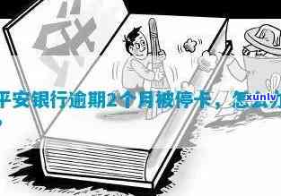 平安银行逾期2个月了-平安银行逾期2个月了怎么办