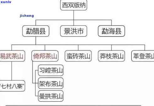 永普洱茶：价格、品种及产地全解析