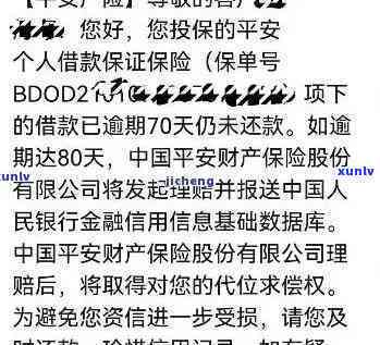 普洱一泡多少克合适-普洱茶一泡多少克