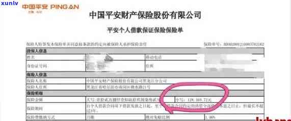 平安保单贷款逾期后还款，能否再次申请？逾期时间及影响解析