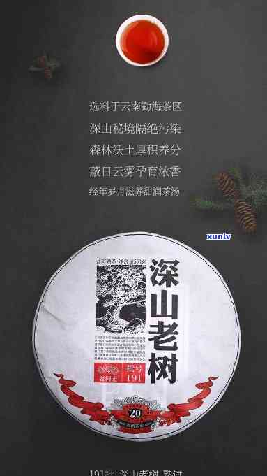 老同志深山老树茶多少钱？2007年价格、2019年点评及熟茶、生茶特点全面解析！是否值得购买？