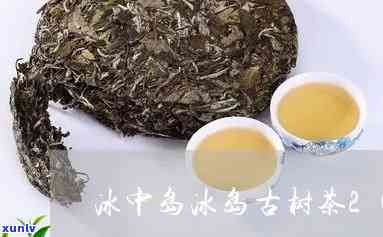 冰中岛2007年普洱茶官网，探索冰中岛2007年普洱茶的官方网站，品味古韵陈香