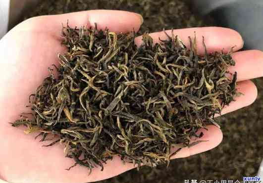 果敢茶属于什么茶，探究果敢茶的品种归属：它属于哪种茶类？