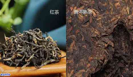 红茶和熟普怎么区分-红茶与熟普的区别